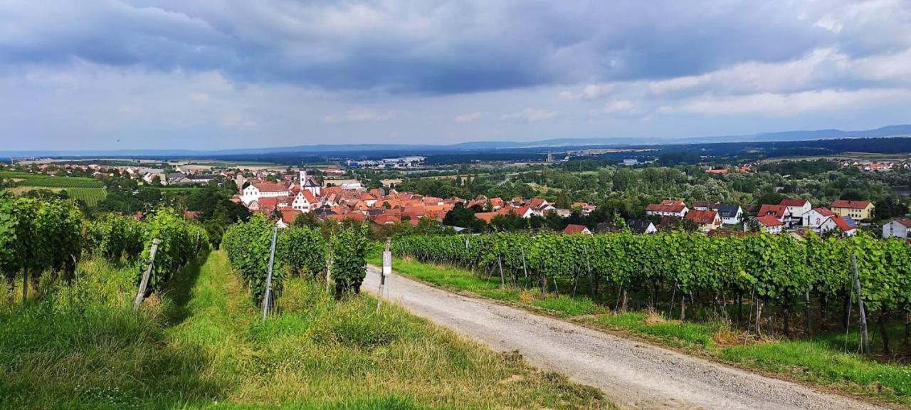 Ferienwohnung Fackelmann Dettelbach Exterior foto
